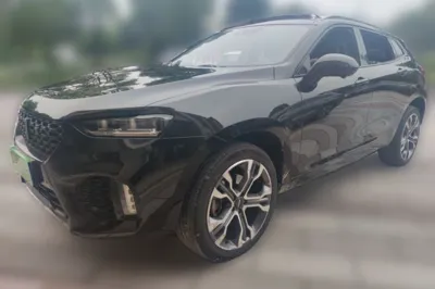 WEY VV7 · 2019 год