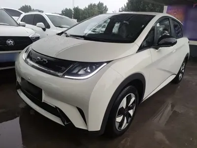 BYD Dolphin · 2026 год