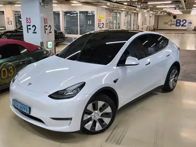 Tesla Model Y · 2021 год