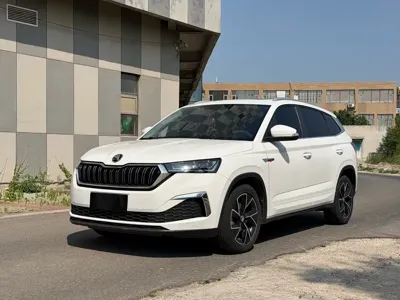 Skoda Kamiq · 2021 год
