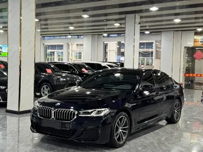 BMW 5 Series (Import) · 2022 год