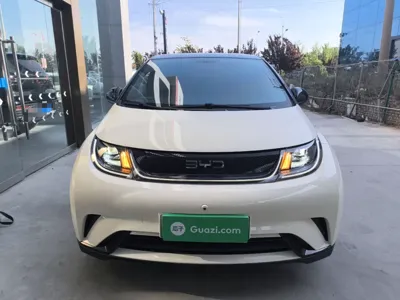 BYD Dolphin 2025, 16400 км, за 78816.18 CNY