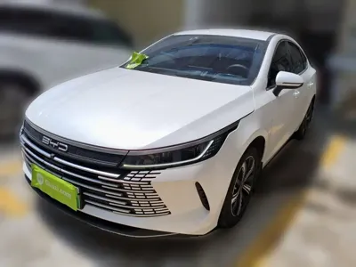 BYD Destroyer 05 · 2024 год