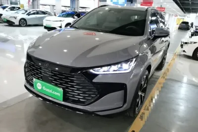 BYD Tang New Energy · 2025 год