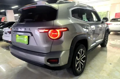 Haval H Dog 2023, 24600 км, за 94981.23 CNY - фото 6
