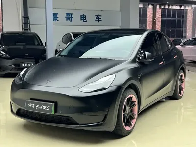Tesla Model Y · 2022 год