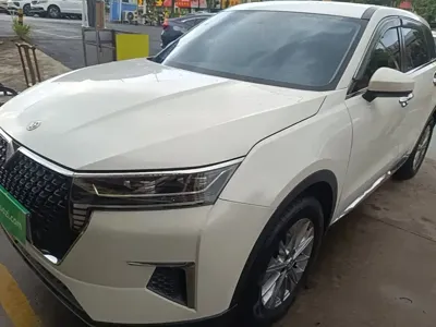 Venucia Star · 2020 год