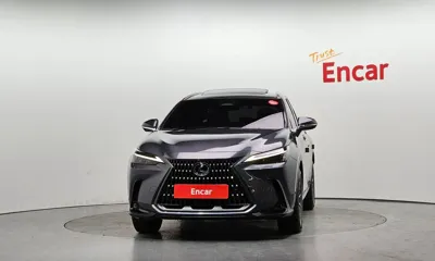Lexus NX 2022, 47499 км, за 50500000 KRW