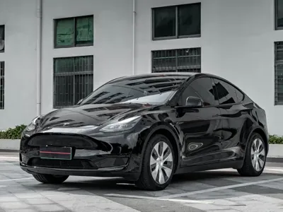 Tesla Model Y · 2022 год