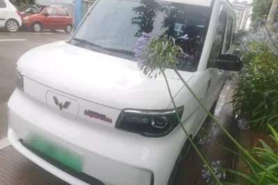 Wuling Zhiguang New Energy · 2025 год
