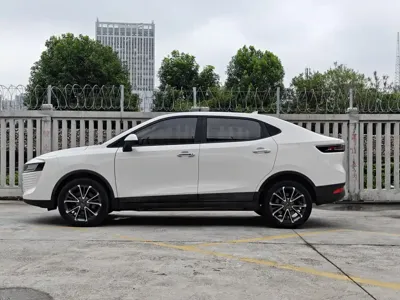 ORA Ora iQ 2018, 95000 км, за 26800 CNY