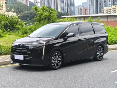 GAC Motor 传祺E8 PHEV · 2024 год
