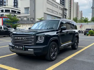 Haval Menglong New Energy · 2024 год
