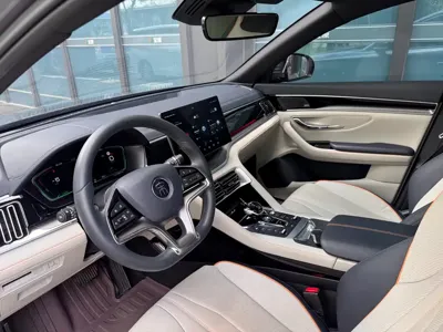 BYD PLUS New Energy 2021, 38000 км, за 71800 CNY - фото 10