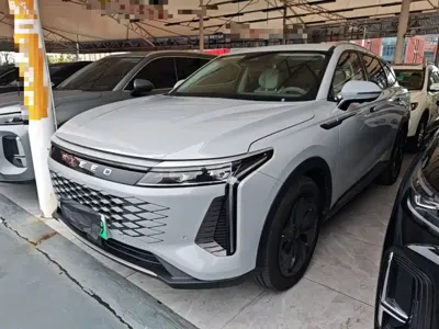 EXEED Yaoguang C-DM · 2024 год