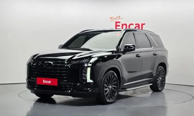 Hyundai Palisade · 2024 год