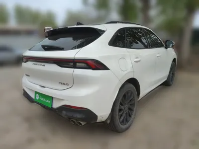 Forthing T5 EVO 2021, 46800 км, за 58958.79 CNY - фото 6