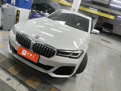 BMW 5 Series · 2021 год