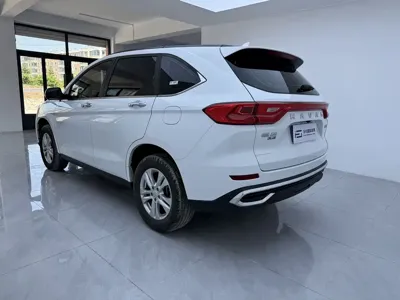 Haval M6 2023, 27200 км, за 59800 CNY - фото 6