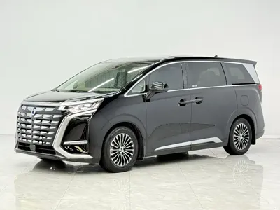 Denza Denza D9 · 2023 год