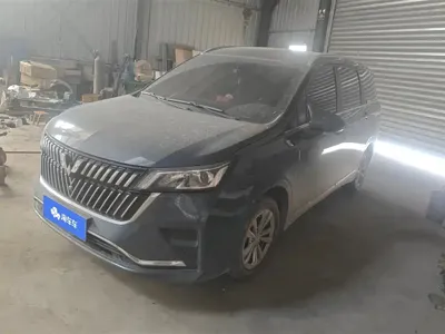 Wuling Jiachen · 2024 год