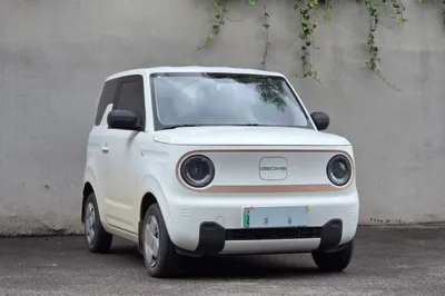 Geely Galaxy Panda 2024, 13200 км, за 45743.54 CNY - фото 16