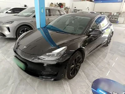 Tesla Model 3 · 2022 год