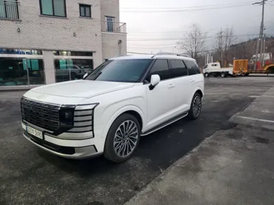 Hyundai Palisade · 2025 год