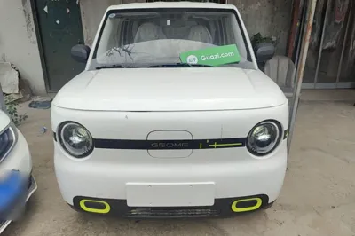 Geely Galaxy Panda 2025, 100 км, за 49230.06 CNY