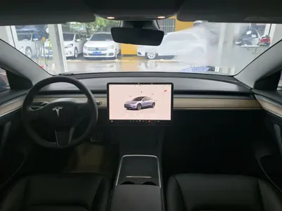 Tesla Model 3 2023, 39000 км, за 145800 CNY - фото 13