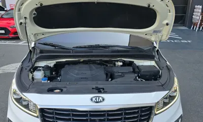 Kia Canival 2019, 82337 км, за 18900000 KRW - фото 17