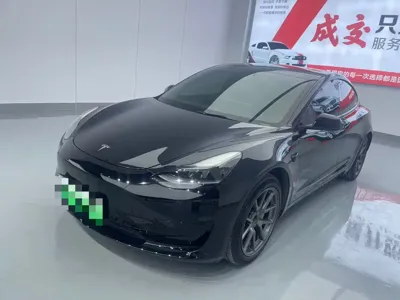 Tesla Model 3 · 2023 год