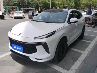 Fengxing Fengxing T5 EVO · 2021 год