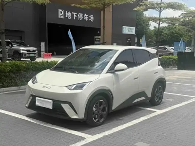 BYD Seagull · 2024 год