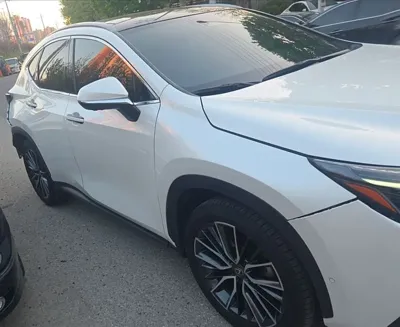 Lexus NX 2024, 50141 км, за 48000000 KRW - фото 2