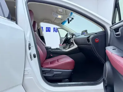 Lexus NX 2021, 48000 км, за 157800 CNY - фото 13