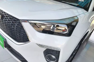 Haval H6 Coupe 2020, 71700 км, за 55219.9 CNY - фото 9