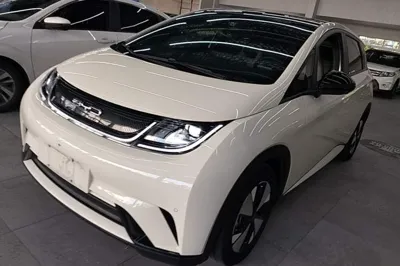 BYD Dolphin · 2023 год
