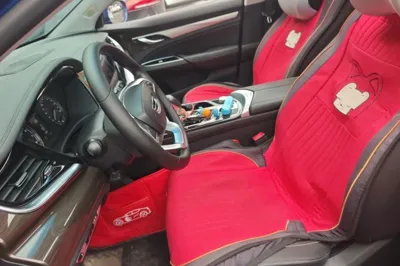 Geely Auto Emgrand GT 2020, 40300 км, за 45747.16 CNY - фото 16