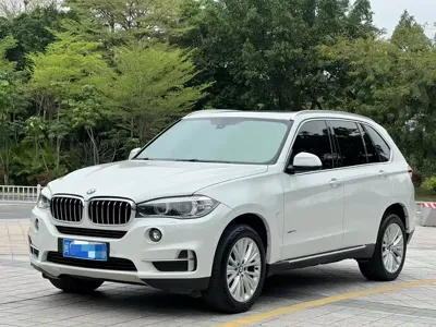 BMW X5 (Import) · 2018 год