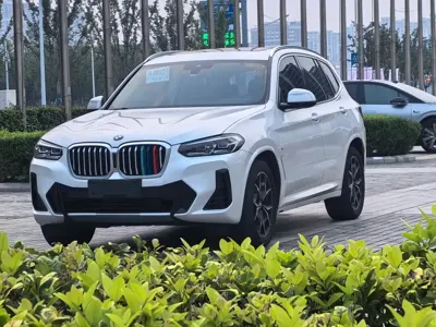 BMW X3 · 2024 год
