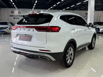 Haval H6 2023, 74000 км, за 76800 CNY - фото 6
