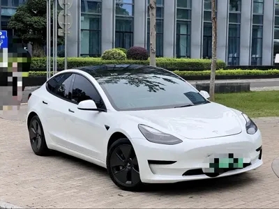 Tesla Model 3 2021, 52000 км, за 97800 CNY