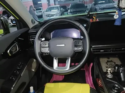 Haval Cool Dog 2023, 24400 км, за 76800 CNY - фото 3