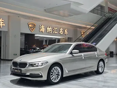 BMW 5 Series · 2019 год