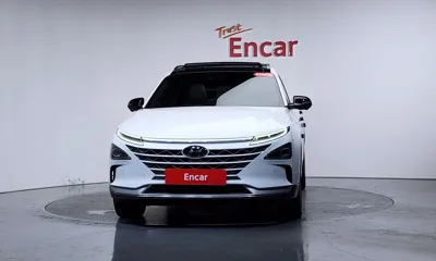 Hyundai Nexo 2019, 73418 км, за 17800000 KRW