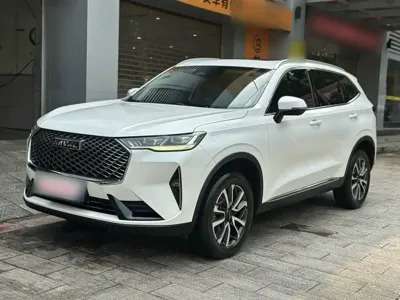 Haval H6 · 2020 год