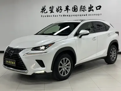 Lexus NX · 2020 год