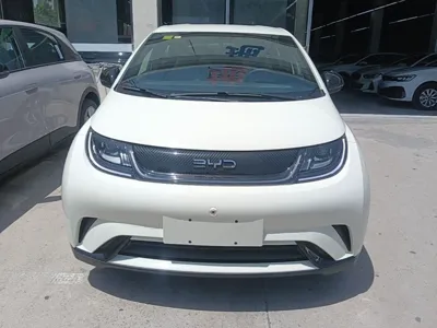 BYD Dolphin 2024, 300 км, за 90754.94 CNY