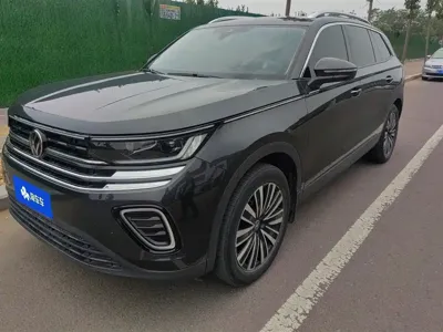 Volkswagen Tavendor · 2023 год